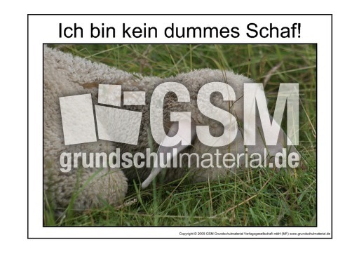 Dummes-Schaf-3.pdf